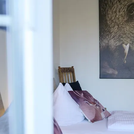 Alpenhirsch شقة جارمش بارتنكيرشن