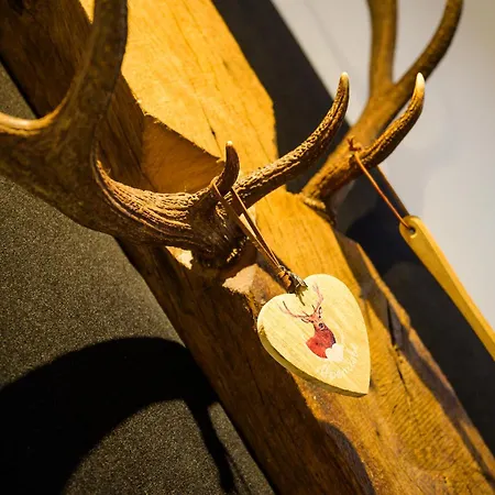 Alpenhirsch Apartment *