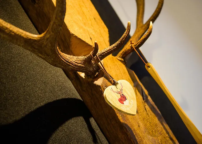 Alpenhirsch Апартаменты *